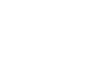 vs1.sk